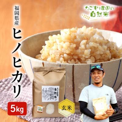 ふるさと納税 小郡市 米 令和6年産 たごもり農園の自然米 ヒノヒカリ 玄米 5kg お米[No5354-2128]