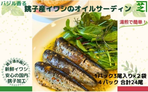 イワシ オイルサーディン 食べてみて！ バジル 香る 銚子産 イワシ の オイルサーディン 新鮮 銚子 いわし イワシ 鰯 青魚 オイルサーディン アヒージョ パスタ バジル 湯煎 簡単 調理 アウトドア 人気 お取り寄せ グルメ 贈り物 お歳暮 ふるさと納税 ふるさと納税魚 送料無料 10000 10000円 千葉県 銚子市 シバショウ