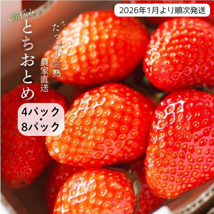 
                  【2026年1月より発送】いちご専門農家直送！朝摘み収穫したての完熟とちおとめ4パック・8パック ／ とちおとめ いちご 苺 イチゴ 完熟 果物 フルーツ 予約 先行予約 茨城県 茨城 利根町 
                