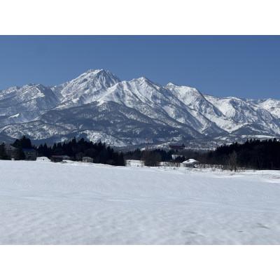 ふるさと納税 上越市 【令和7年産新米先行予約】食味鑑定士厳選　新潟県上越市産こしひかり　5kg |  | 01