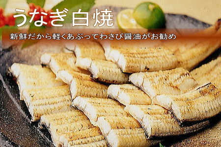国産うなぎ白焼　4尾（約130g×4尾）セット　タレ・山椒付き　うなぎのあいかね　鰻　白焼き　土用の丑の日　贈答　レンチン　浜名湖　冷凍　静岡　浜松市　【配送不可：離島】