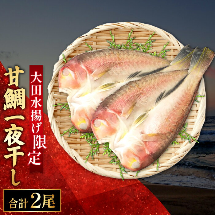 【ふるさと納税】 甘鯛一夜干し (2尾) 干物 高級魚 あまだい ぐじ 大ぶり 旬 おつまみ 酒の肴 素焼き 唐揚げ 鯛 アマダイ 魚介 魚貝 一日漁 父の日 母の日