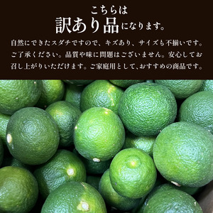 訳あり すだち 1.5kg 家庭用 2025年9月上旬～9月中旬 順次発送 栽培期間中農薬不使用 スダチ すだち すだち すだち