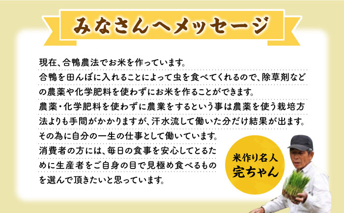 【先行予約】【全6回定期便】令和6年産 米作り名人完ちゃんの合鴨米 玄米 10kg 栽培期間中農薬化学肥料不使用 [YCT010]