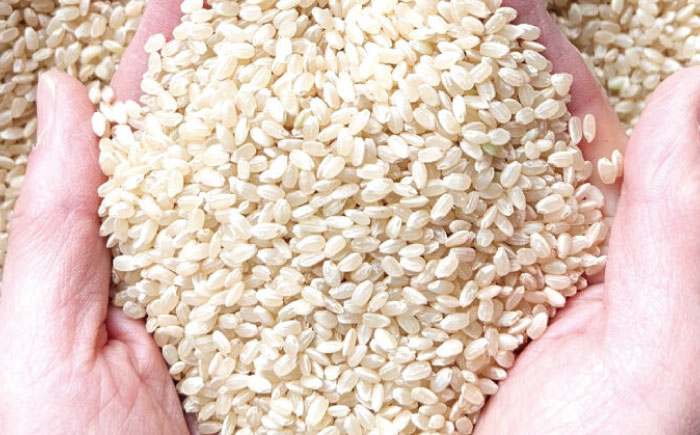 【玄米】佐賀県産 有機米 イセヒカリ 5kg / 佐賀県産米 ふるさと納税米 ブランド米 / 佐賀県 / 株式会社中村 [41AJCN011]