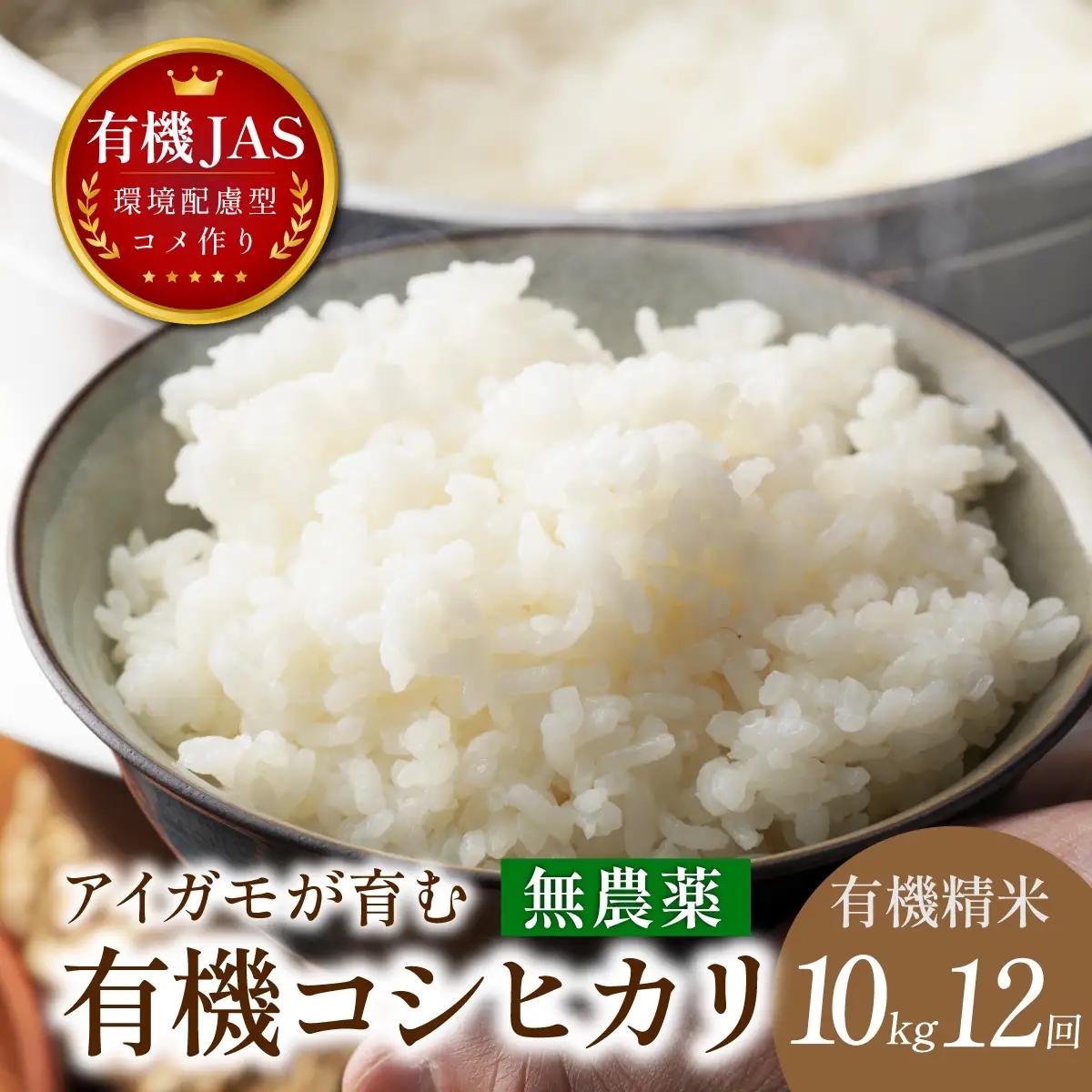〈8年産予約〉【定期便】有機米 無農薬 コシヒカリ 精米 ( 10kg×12回 計30kg ）有機米