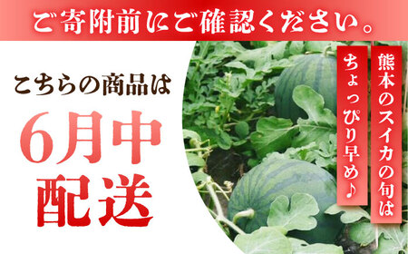 【先行予約】【数量限定】黒小玉 スイカ (ひとりじめ BonBon) 2玉 計約5kg【岡山農園】こだまスイカ すいか 西瓜 黒小玉すいか 熊本スイカ くまもとスイカ 数量限定スイカ [ZBY001]