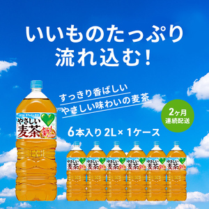 麦茶 定期便 2ヶ月 GREEN DA・KA・RA やさしい麦茶 2L×6本 ペットボトル 飲料 お茶 ペットボトル飲料 水分補給 カフェインゼロ やさしい味わい ノンカフェイン 飲み物 子供 大人 
