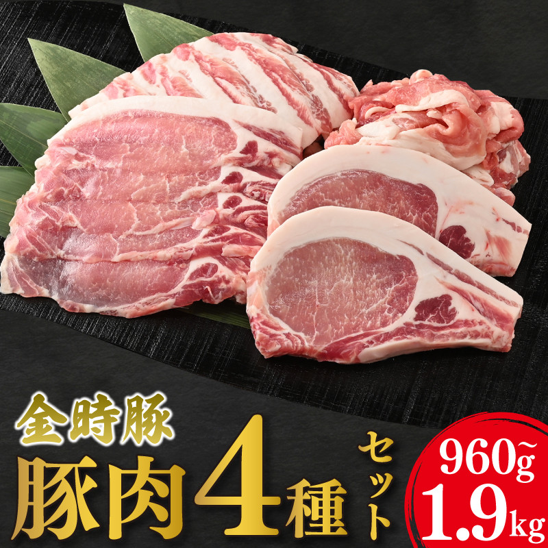 
            金時豚 豚肉 4種セット 960g 1.9kg 切り落とし ロース とんかつ バラ ロース 焼肉 ぶたにく 豚 ぶた 肉 にく ポーク ブランド 高級 冷凍 真空パック 小分け しゃぶしゃぶ 鍋 カレー BBQ アウトドア おかず おつまみ 惣菜 弁当 日用 ギフト 贈答 プレゼント お取り寄せ グルメ 送料無料 徳島県 阿波市 
          