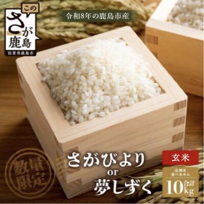 ふるさと納税 鹿島市 【令和8年産】鹿島市産 [さがびよりor夢しずく] 玄米10kg 1袋【品種指定不可】