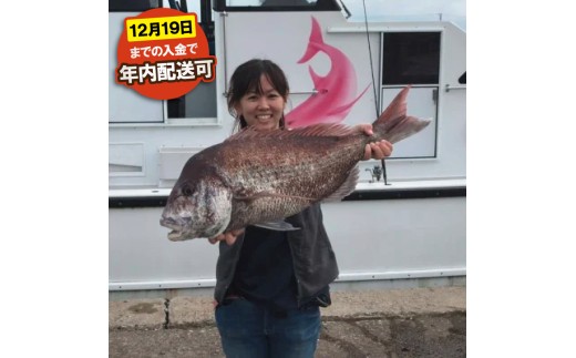 【先行予約】 釣り船 真鯛 乗船券 午前 手ぶらOK 千葉県飯岡港 フィッシング 釣り 釣り体験 鯛 魚 魚釣り リール 竿 船 漁船 大型船 舟 大漁旗 飯岡港 外房 九十九里 九十九里浜 千葉 海 海釣り 沖釣り 新鮮魚 魚介 初心者 歓迎 午前マダイ船乗船券 体験 有限会社幸丸 千葉県 旭市 scm001_X1