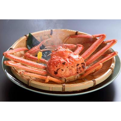 ふるさと納税 鯖江市 【11月6日漁解禁】福井冬の味覚!越前がに 1杯 (700〜800g)