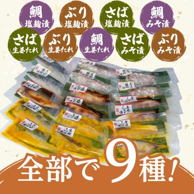 ふるさと納税 鹿児島市 【海幸】漬け魚詰合せ　K065-005 |  | 01