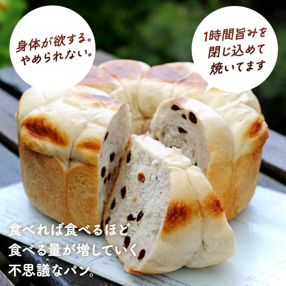 【地元TV 雑誌で多数紹介】やみつき鍋パン4種セットB(約1.2kg) パン _05731