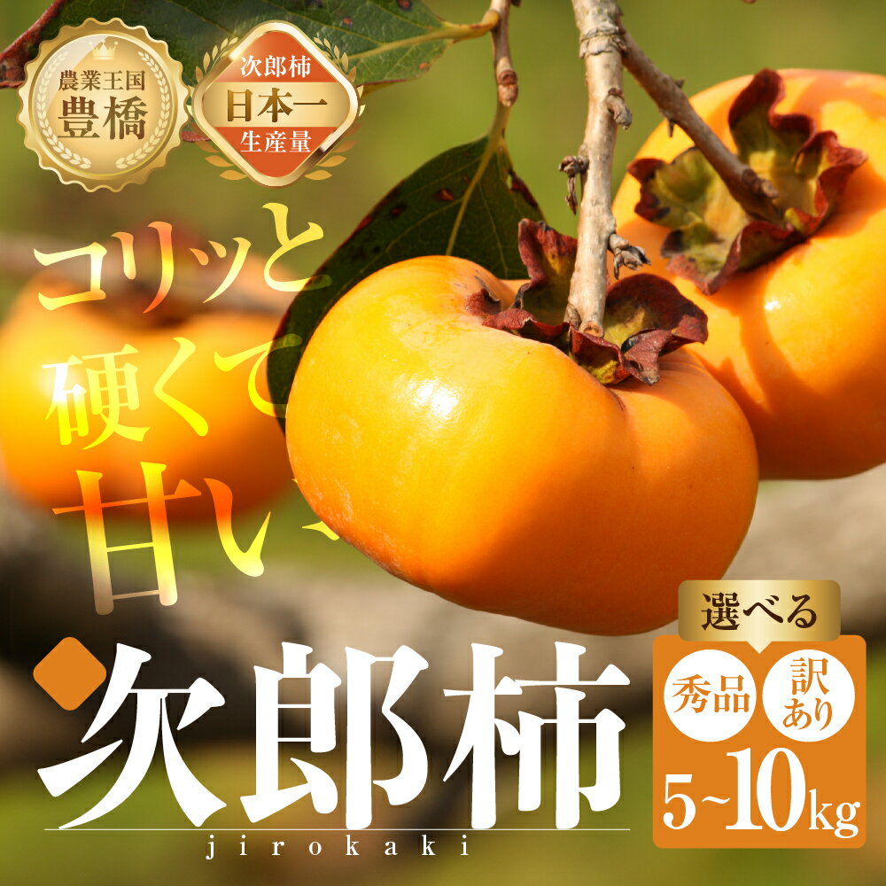 【ふるさと納税】≪先行予約≫生産量日本一！豊橋の秋の味覚 豊橋石巻産次郎柿 5kg ~10kg 【選べる 秀品 / 訳あり】柿 かき カキ 果物 フルーツ 旬 旬の果物 訳あり わけあり 秀品 贈答 ギフト ご自宅用 2025年産 2026年産 令和7年 令和8年 甘柿 甘い 愛知県 豊橋市
