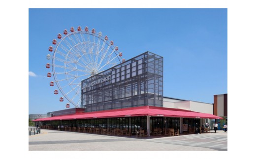 刈谷ハイウェイオアシス有料遊具回数利用券と観覧車乗車券のセット ／ 遊園地 遊び場 レジャー 愛知県 No.046