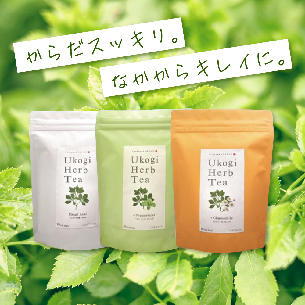 Ukogi Herb Tea 2種 Cセット カモミールブレンド ペパーミントブレンド 各10個 計20個入り ウコギハーブティー ティーバッグ 有機栽培 うこぎ 茶葉 ノンカフェイン デカフェ お茶