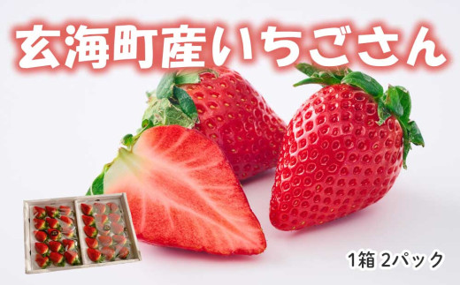 ★予約受付★平川いちご農園 佐賀県玄海町産「いちごさん」2024年1月～4月までに順次配送