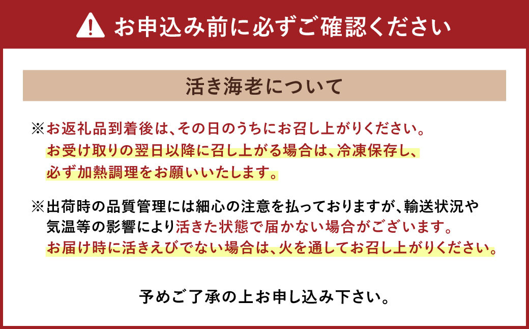 熊本県産 活き車海老 約350g 大サイズ厳選品