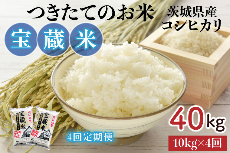 
【4ヶ月定期便】【令和6年産】茨城県産コシヒカリ 宝蔵米 10kg×4回【お米 米 菊池 こしひかり つきたてのお米 食味ランキング特A評価 茨城県 水戸市】（CZ-411）
