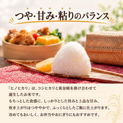 ふるさと納税 柳川市 【令和8年産】ヒノヒカリ 白米 20kg |  | 01