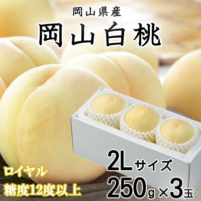 
            ＜先行受付＞岡山白桃 ロイヤル 3玉×250g(2Lサイズ) 岡山県産【1305721】
          