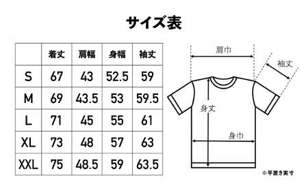 CHUMS×HAKUBA 長袖Tシャツ L /ティールブルー