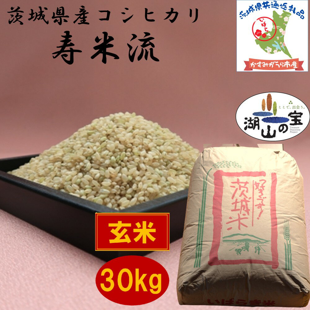 【ふるさと納税】 令和7年度産 コシヒカリ 寿米流 すまいる 30kg 農家直送 低温保存玄米 茨城県産 茨城県共通返礼品 かすみがうら市産 米 お米 玄米 こめ 取り寄せ 特産 ごはん ご飯 コメ お取り寄せ ギフト 贈り物 弁当 おにぎり ふっくら ツヤツヤ 甘い 産地直送 国産