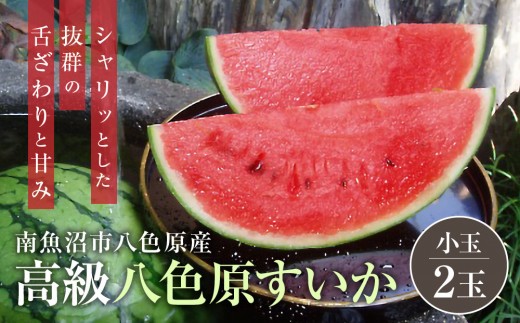 
                  先行予約【高級】八色原すいか小玉２玉【西瓜 スイカ すいか 小玉 季節限定 果物 フルーツ ギフト 名産地 産地直送 シャキシャキ 厳選 デザート 新潟県】【2026年7月中旬発送】【お届け日時指定不可】
                