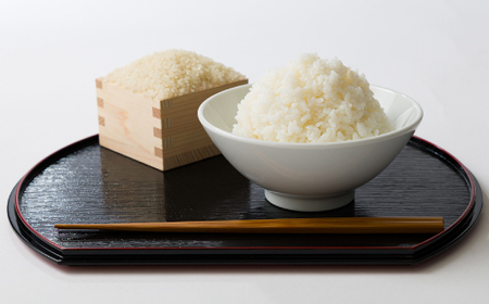 【食味鑑定士厳選】岡山県産 コシヒカリ20kg(5kg×4袋)【1643913】