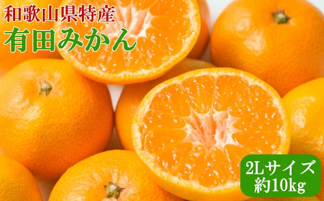 ［秀品］ 和歌山 有田みかん 約10kg 2Lサイズ 2025年11月中旬頃より順次発送  BZ128