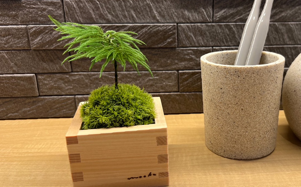 枯れない苔のミニ盆栽 | 苔盆栽 枯れない 苔 インテリア ミニ盆栽 人工 プリザーブド 苔玉 おしゃれ 和風 ギフト プレゼント 癒し 室内緑化 長持ち 手入れ不要 新築祝い 開店祝い デスク イン