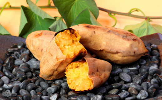 本場鹿児島さつまいも 【白安納】4kg　2025年10月上旬より発Z0-14【配送不可地域：離島】