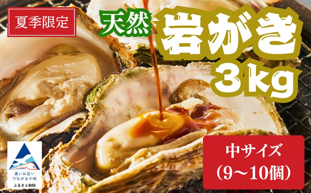 夏季限定！ 安宅産 天然 岩がき 中サイズ 3kg (9~10個)【石川県漁業協同組合小松支所】