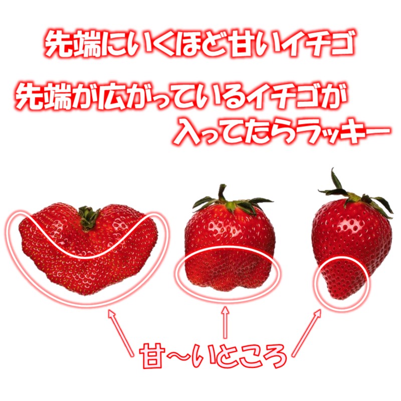 【先行予約】厳選いちご食べ比べ 250ｇ×4パック「やよいひめ」＆「さちのか」苺大野屋<1.2-12>果物 くだもの フルーツ 宮崎県西都市