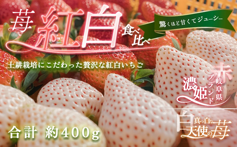 天使のいちご 紅白セット 苺 約400g いちご 詰め合わせ セット 岐阜県 海津市