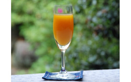 クレメンティンジュース 720ml 2本セット （家庭用） 【2026年2月上旬～9月下旬発送予定】 みかん 柑橘 フルーツ ジュース 早津みかん園 佐賀県 太良町 ND13x1-2