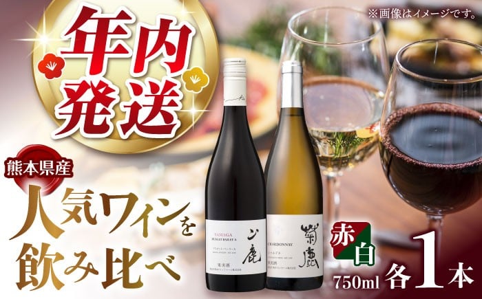 
            【年内発送は12月21日ご入金分まで！】ワイン 菊鹿シャルドネ&山鹿マスカットベーリーA2024 ワイン2本セット 化粧箱付 わいん【菊鹿ワイナリー】 [ZFB006]
          