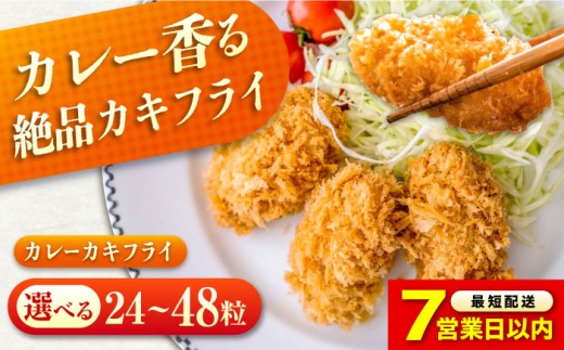 【スピード発送】 カキフライ 冷凍 カキフライ  (カレー 計48粒)  広島県産 冷凍カキフライ 広島牡蠣 牡蠣 かき カキ  料理 簡単 魚介類 海鮮 ギフト 広島県産 瀬戸内海 海の幸 特産品 産地直送 お取り寄せ 贈り物 ギフト 贈答品 絶品  人気 おすすめ おいしい 冷凍 カキフライ 牡蠣 魚介類 海鮮 贈答 グルメ お取り寄せ 広島県福山市/クニヒロ株式会社 [BACG011]