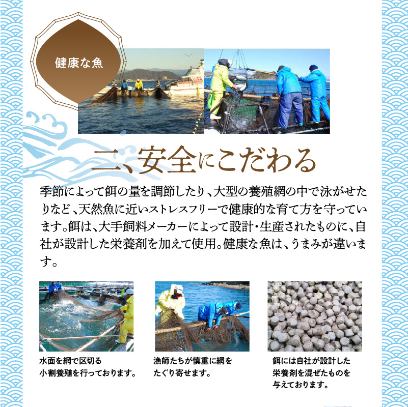 大和ブリの切り身　約600ｇ N072-YA2289