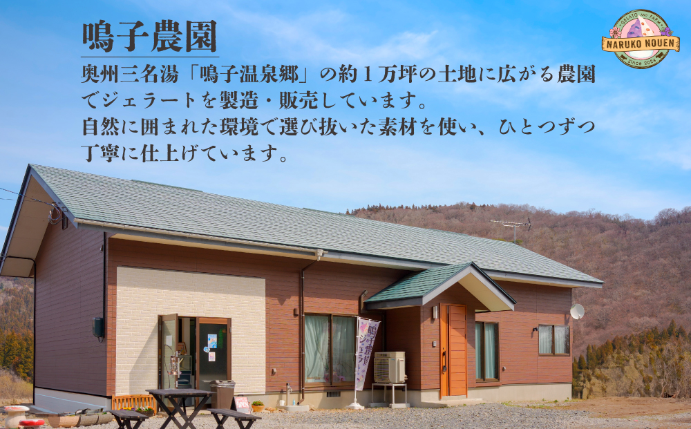 無脂肪乳で作るプロテイン入りジェラート