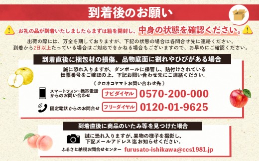 梨 豊水 2kg 4～6玉 ｜ なし 旬 果物 フルーツ 甘い シャキシャキ 産地直送 新鮮 お取り寄せ 大野農園 福島県 石川町【19006AA0101】