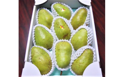 西洋梨（バラード）３ｋｇ　ご家庭用　0017-2613