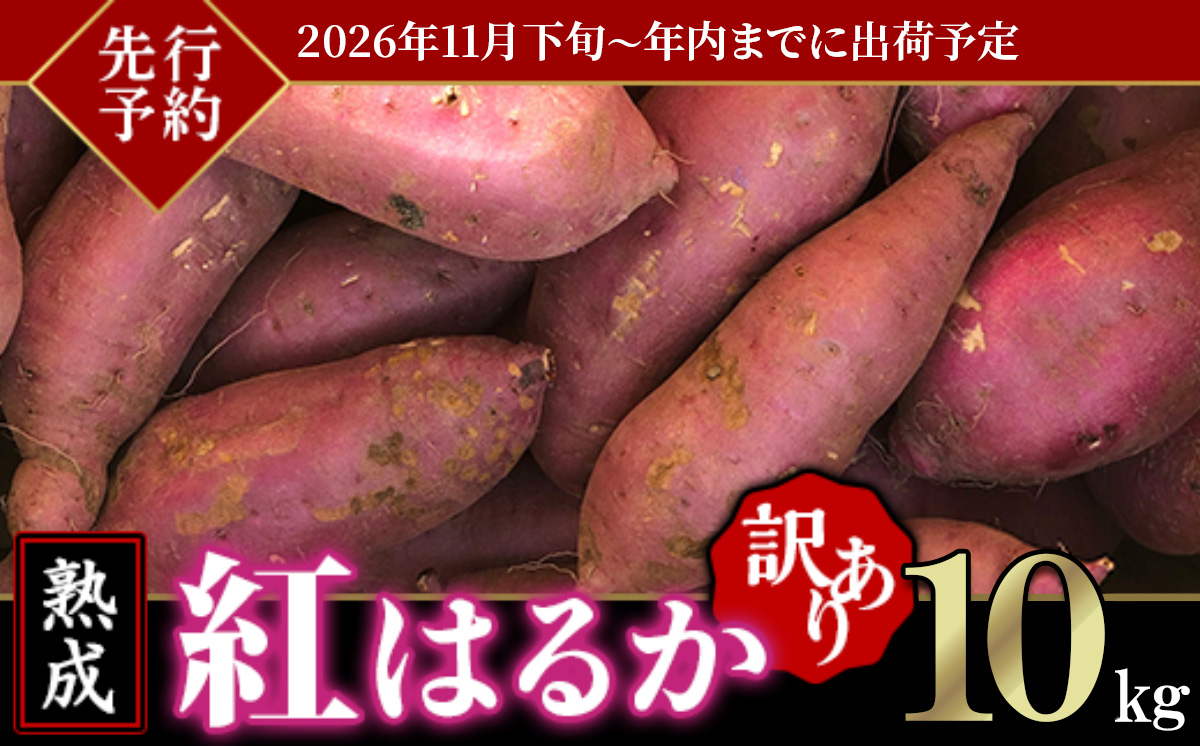 【先行予約】【訳あり】茨城県産熟成さつまいも「紅はるか」10kg【2026年11月下旬～年内までに出荷予定】【 さつまいも 紅はるか 芋 サツマイモ 甘い 焼き芋 スイートポテト 茨城県産 大容量 不揃い ねっとり 】