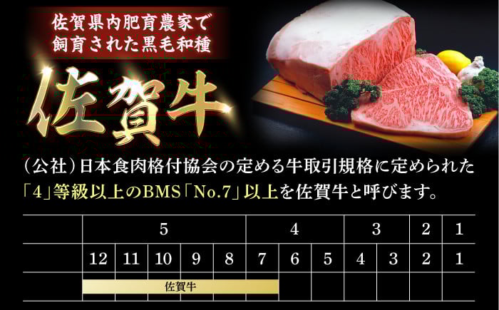 佐賀牛 和牛 国産牛 希少 赤身 ステーキ サーロイン ロース モモ カタ バラ ヒレ パック 個包装 小分け 
