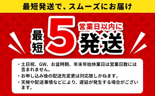 【最短発送】 飛騨牛 A4~A5等級 サーロインステーキ ステーキソース付 330g 岐阜県産 A4 A5 黒毛和牛 サーロイン ステーキ 赤身 霜降り 牛肉 牛 国産 お取り寄せ ごちそう 自宅用 
