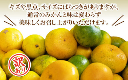 訳あり 由良 みかん 5kg 西浦 蜜柑 柑橘 オレンジ ( 数量限定 みかん 果物 みかん フルーツ みかん 柑橘 みかん 国産 )