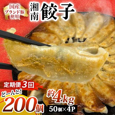 ふるさと納税 藤沢市 【毎月定期便】湘南生餃子 200個(50個×4P)約4kg 国産ブランド豚・野菜使用　全3回 | 