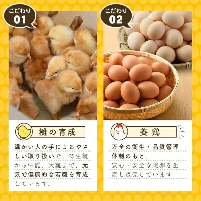 梶原たまご(計60個・10個×6P) 卵 玉子 鶏卵 卵かけご飯 玉子焼き【108800200】【カジワラファーム】