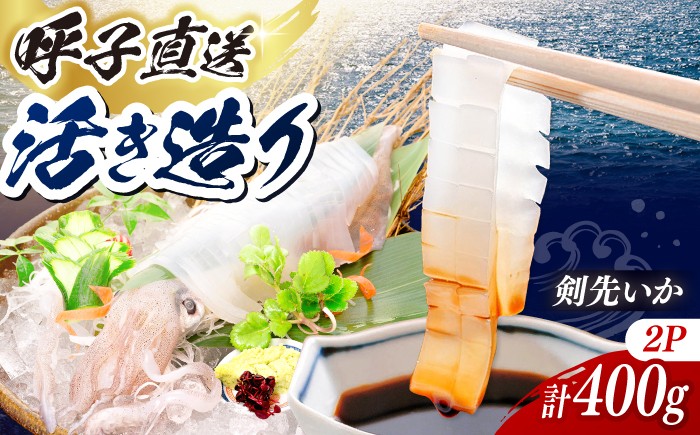 
                  呼子剣先いか 活き造りMサイズ 2パック / ケンサキイカ イカ 烏賊 新鮮 海鮮 魚介 刺身 刺し身 お刺身 いか刺身 イカ刺し squid / 佐賀県 / 佐賀玄海漁業協同組合（呼子CASセンター） [41ABAN001]
                